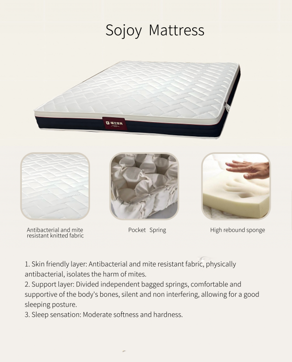 Sojoy Mattress1.8*2.2*0.2m